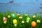 Eastereggs in eastergrass and daisy flowers