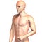 Eastern or Asian acupuncture and acupressure points on a male body