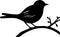 eastern bluebird Black Silhouette Generative Ai