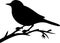 eastern bluebird Black Silhouette Generative Ai