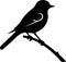 eastern bluebird Black Silhouette Generative Ai