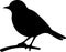 eastern bluebird Black Silhouette Generative Ai