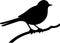 eastern bluebird Black Silhouette Generative Ai