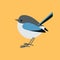 Eastern bluebird ,vector illustration ,flat style ,profile