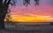 Eastern Colorado Grass Plains and Tree Sunset