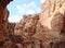 The eastern desert part of Jordan. Landscapes of stone deserts and rocks along the road to Petra.