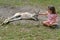 Eastern grey kangaroo female