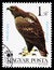Eastern Imperial Eagle (Aquila heliaca), Protected birds of prey serie, circa 1983