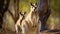 Eastern Kangaroos in the wild. A mother kangaroo showing off her delightful joey. generative ai