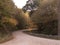 Eastern Nebraska curvy gravel road in autumn