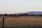 Eastern Oklahoma scenery with mountains, field and hay bale