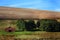 Eastern Oregon Farm Land