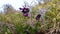 Eastern pasqueflower, cutleaf anemone Pulsatilla patens blooming in spring among the grass in the wild, Ukraine