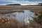 Eastern Shore of Virginia National Wildlife Refuge