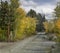 Eastern Sierra Fall Autumn Color