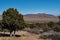 Eastern view at Aguirre Springs in New Mexico.