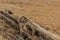 Eastern Washington Palouse vast expanse desert view rocky slope