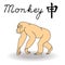 Eastern Zodiac Sign Monkey