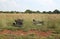 EASY CHAIRS ABANDONED IN THE VELD