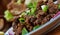 Easy Crispy Mongolian Beef