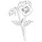 Easy flower coloring pages, Sketch Rhinegold, pansy flower, drawing, Coloring pages for children, Easy flowers art