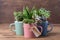 Easy handmade home decoration with succulents in colourful mugs