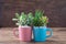 Easy handmade home decoration with succulents in colourful mugs