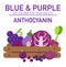 Eat colors for your health-BLUE & PURPLE FOOD