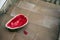 Eaten abandoned watermellon