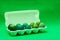 Eater eggs in box. Green monochromatic minimalistic composition. Seasonal, holiday, Easter concept