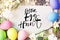 eater eggs hunt text no editable. colored easter eggs with white flower on the wooden background