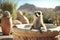 eatic Meerkat Soaking in Luxurious Jacuzzi in Unreal Engine 5