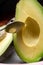 Eating of fresh ripe green organic hass avocado fruit with spoon