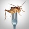 Eating Insects Concept