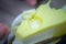 Eating tasty yellow cheesecake with spoon