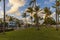 Eautiful landscape view of Miami South Beach. Buildings on one side and palm trees on another side.