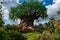 Eautiful view of Tree of Life at Animal KIngdom at Walt Disney World area 1
