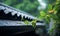 eaves of house in rainy day