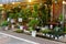 The eaves of a neat, nice and fashionable flower shop on the street