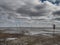 Ebb tide Road on the wadden sea to the island Mandoe, Esbjerg Denmark