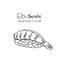 Ebi sushi outline