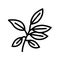 ebony leaf line icon vector illustration