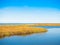 Ebro Delta estuary and wetlands, Tarragona, Catalunya, Spain. Copy space for text.