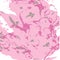 Ebru background in pink and gray colors