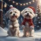 An ecard of two Maltese dogs being frolic in the snow.