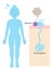 Eccrine sweat gland in human body and skin diagram. Health care concept