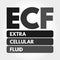 ECF - Extracellular fluid acronym, medical concept