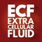 ECF - Extracellular fluid acronym, medical concept background