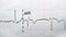 ECG ElectroCardioGraph paper that shows Normal Sinus Rhythm NSR with frequent PACs Premature Atrial Contractions, PVCs Premature