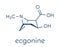 Ecgonine coca alkaloid molecule. Metabolite of cocaine. Skeletal formula.